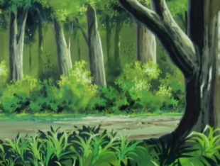 Morx Forest