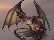 Wyvern small