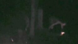 Campfire Creature