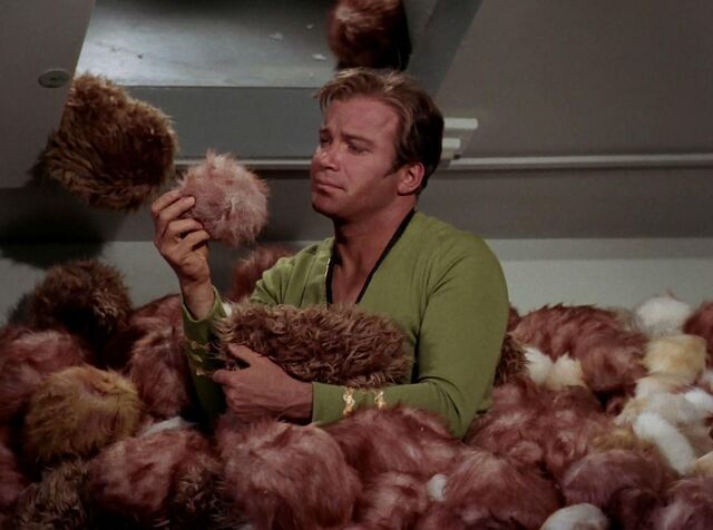File:Tribbles.jpg
