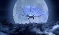 Iris Flying