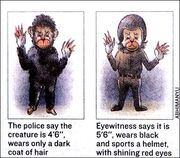 Monkey Man