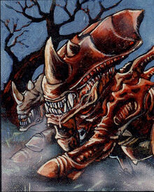 Rhino xeno