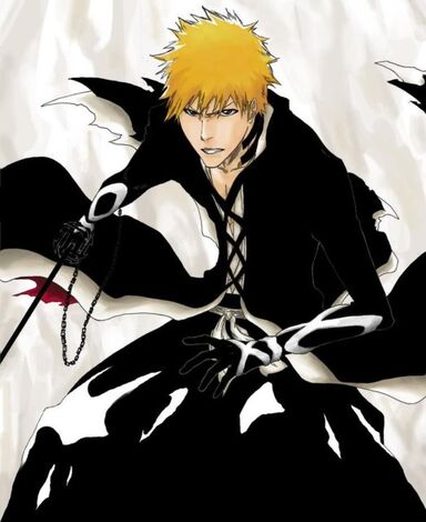 IchigoKurosakiimage