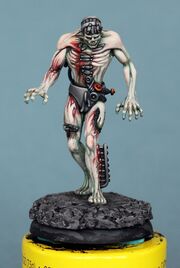 FleshConstructimage