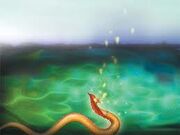Naga