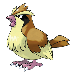Pidgey