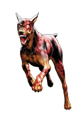 Zombie-dog