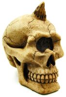 Cyclops skull 40 51780 1332377404 1280 1280