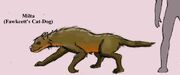 Gevaudan01
