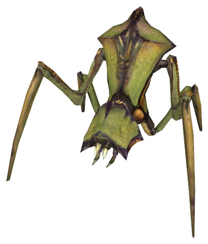 File:Antlion soldier.jpg