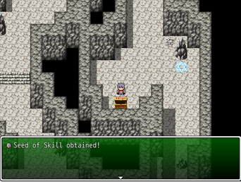 SeedofSkill Iliasport Treasure Cave B1F