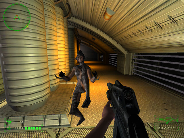 File:Operationmatriarchy082.jpg