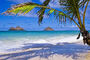 Hawaje