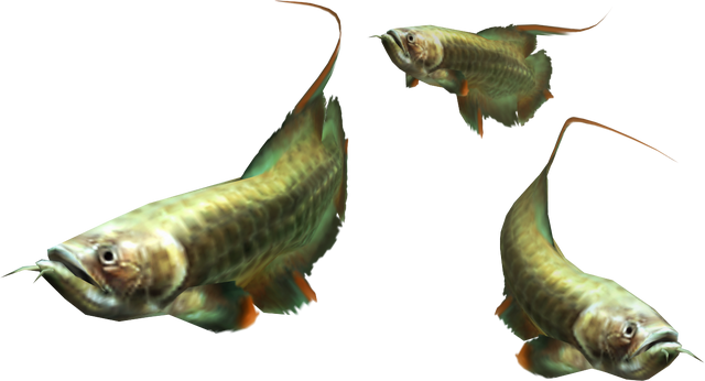 File:3rdGen-Fish Render 004.png
