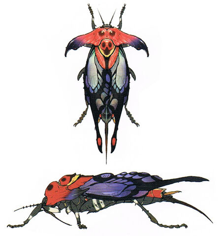 File:Bnahabra-Concept.jpg