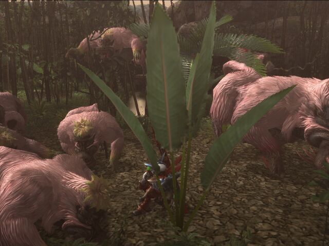 File:FrontierGen-Congalala Screenshot 002.jpg