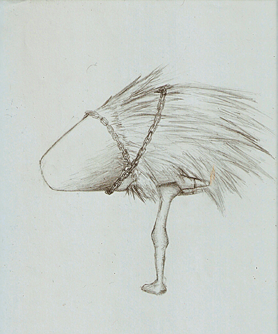 File:Great Cone.png