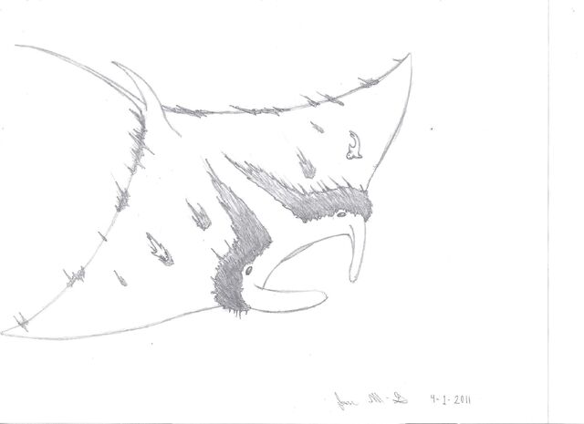 File:Monster Mantaray flipped.jpg