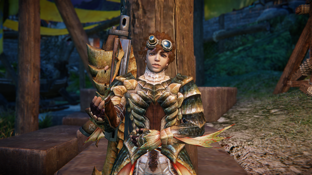 File:MHOL-Bowgun NPC Screenshot 001.png