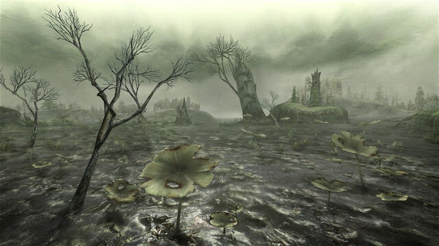 File:MHGen-Marshlands Screenshot 001.jpg