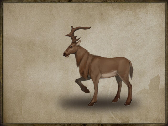 File:Mhfocmonster10.jpg