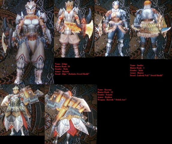 File:All 3 hunters of amanda.jpg