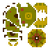 50