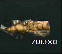 File:Diapositiva20.jpg