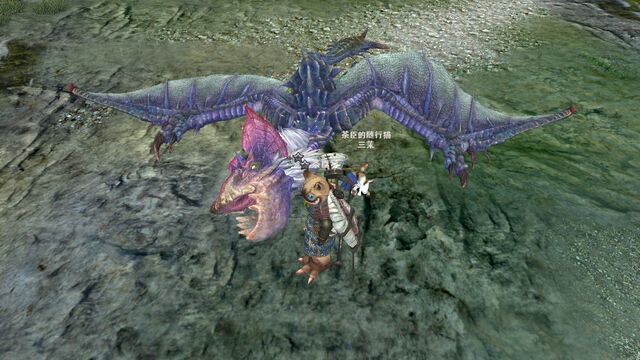 File:MHO-Yian Garuga Screenshot 014.jpg