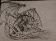 Aurex