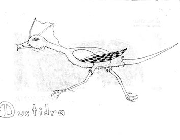 Dustidra