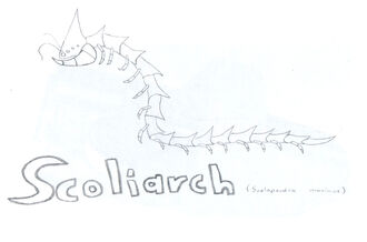 Scoliarch