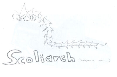 Scoliarch