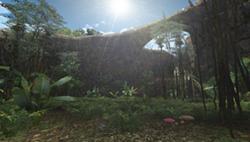 Jungle