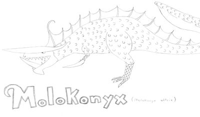 Molokonyx