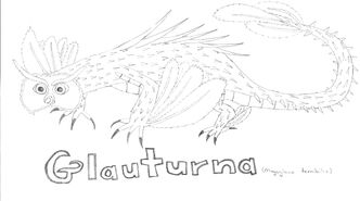 Glauturna