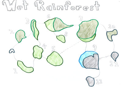 Wet Rainforest
