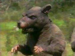 Rat Monster