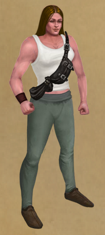 File:Tools of the Arch-Assassin.png