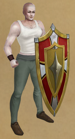 Knight-General's Aegis