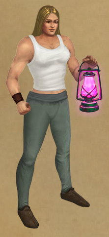 File:Witchfire Lantern.png