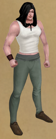 File:Ebon Hood.png