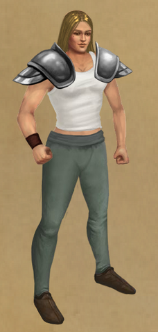 File:Steel Sentinel's Shoulders.png