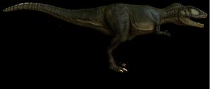 Carcharodontasaurus