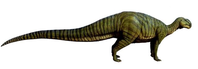 File:1024px-Tenontosaurus.jpg