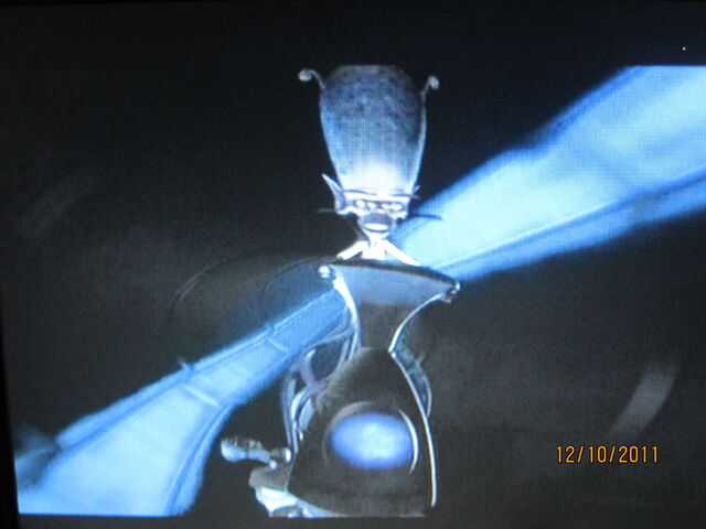 File:IMG 0248.jpg