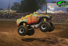 IMG 7861