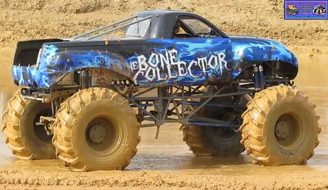 File:Boncol212a.jpg