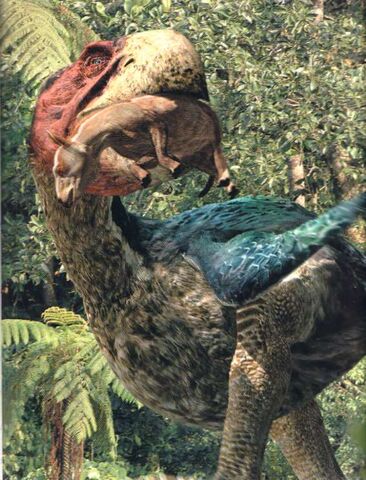 Datei:Gastornis.jpg